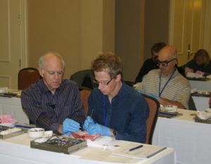 About Dr. Kohner